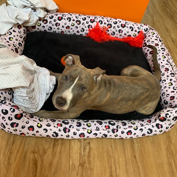 Meet your Posher, Erik - Picture 1 of 1